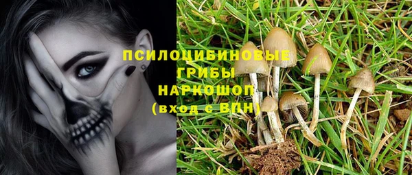 соль ск Заводоуковск