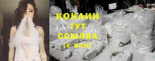 соль ск Заводоуковск