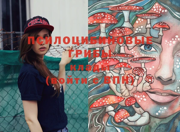 PSILOCYBIN Заволжск