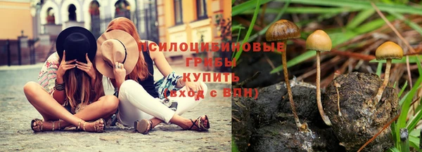 PSILOCYBIN Заволжск