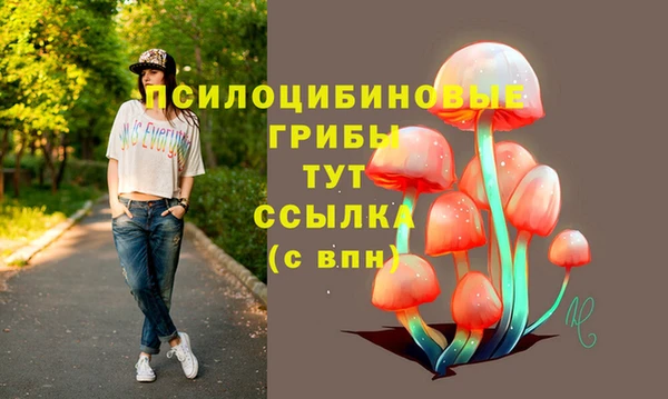бошки Зеленодольск
