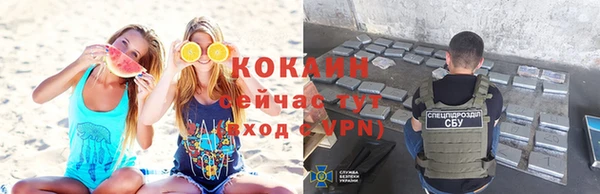 соль ск Заводоуковск