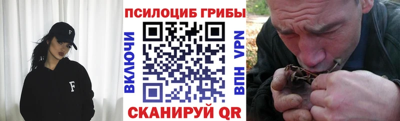Псилоцибиновые грибы Cubensis  Купить  Калининск 